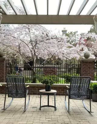 Photo #3: ML81908877 Listing 