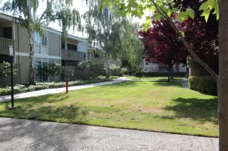 Photo #2: ML81918622 Listing 