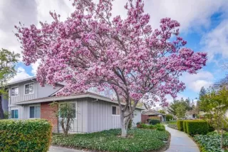 Photo #2: ML81919895 Listing 