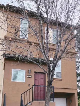 Photo #1: ML81919933 Listing 