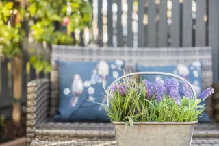 Photo #2: ML81921621 Listing 