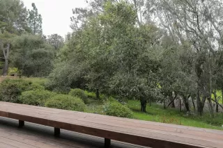 Photo #5: ML81923429 Listing