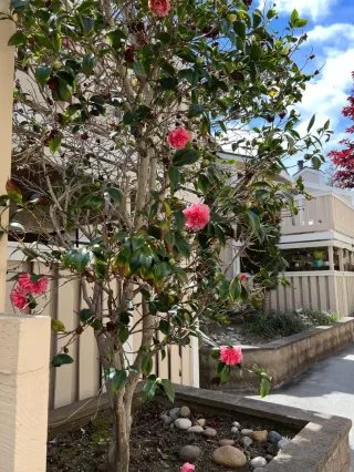 Photo #4: ML81924591 Listing 