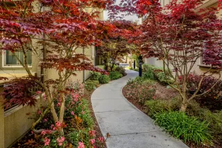 Photo #6: ML81926120 Listing 