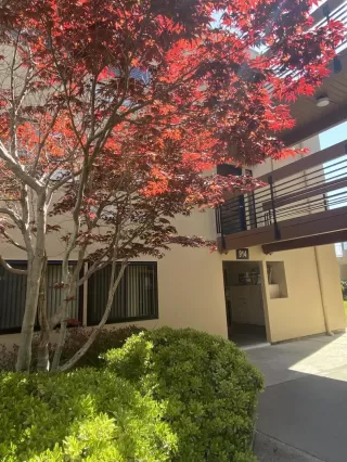 Photo #2: ML81928435 Listing