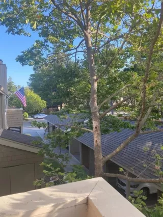 Photo #5: ML81931023 Listing 