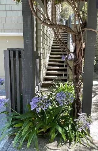 Photo #6: ML81932224 Listing 