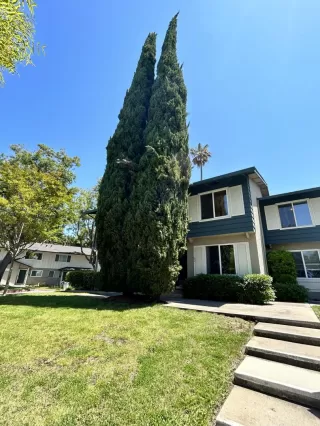 Photo #1: ML81934172 Listing 