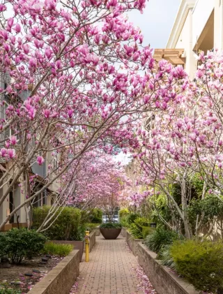 Photo #2: ML81937852 Listing 