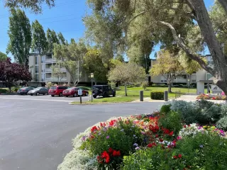 Photo #4: ML81937932 Listing