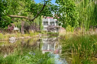 Photo #1: ML81938519 Listing