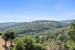 Photo #5: ML81941090 Listing