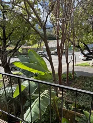 Photo #4: ML81953653 Listing 