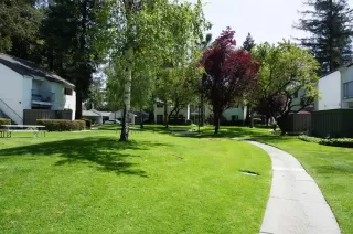 Photo #4: ML81955364 Listing 