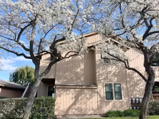 More Details about MLS # ML81955369 : 578 IRONWOOD TER 2