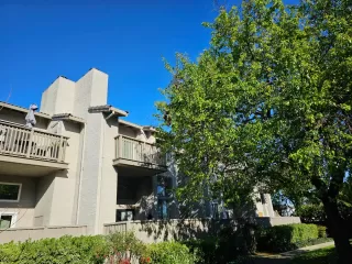 Photo #2: ML81959056 Listing