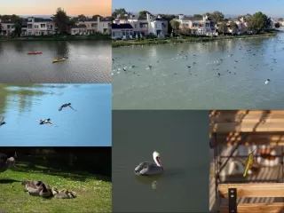 Photo #5: ML81960437 Listing 