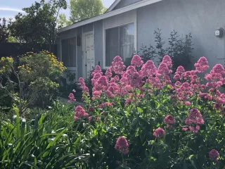 Photo #1: ML81962216 Listing 