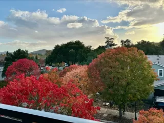 Photo #5: ML81967403 Listing 