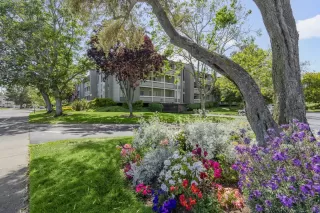 Photo #1: ML81967607 Listing