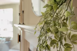 Photo #5: ML81968517 Listing