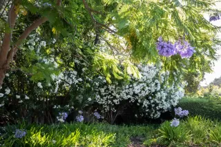 Photo #2: ML81972704 Listing 