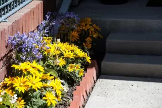 Photo #4: ML81974072 Listing