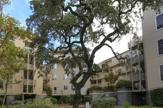 Photo #3: ML81974180 Listing