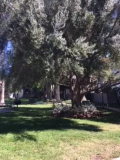 Photo #2: ML81975264 Listing