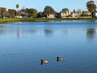 Photo #1: ML81976951 Listing