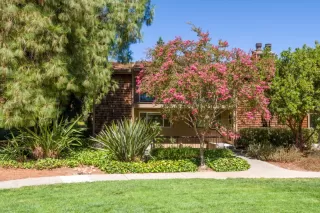 More Details about MLS # ML81977473 : 6074 CALLE DE AMOR