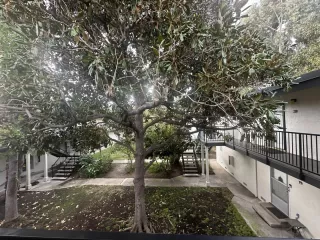 Photo #2: ML81986842 Listing 