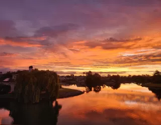 Photo #1: ML81990773 Listing 