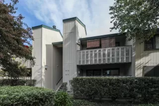 More Details about MLS # ML81994442 : 1451 ALMA LOOP