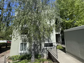 Photo #1: ML81995853 Listing