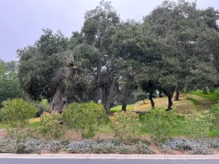 Photo #2: ML81996061 Listing 