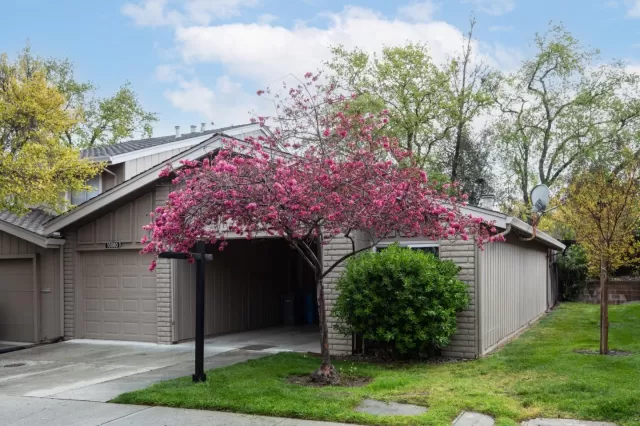 MLS: ML82000803 Condo For Sale