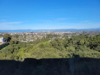 More Details about MLS # ML82004373 : 10 SCENIC WAY 306