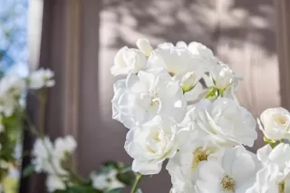 Photo #4: ML82006644 Listing 