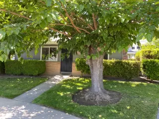 Photo #3: ML82011398 Listing 