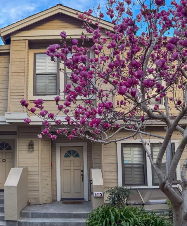 MLS: ML82015865 Condo For Sale