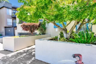 Photo #3: ML82017364 Listing 