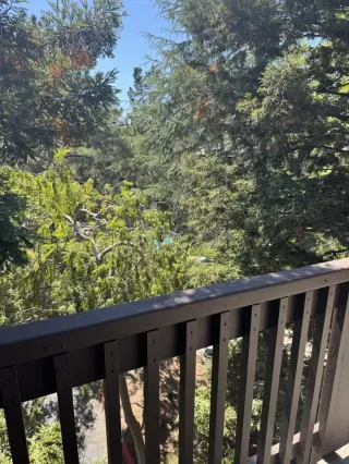 Photo #6: ML82019333 Listing 