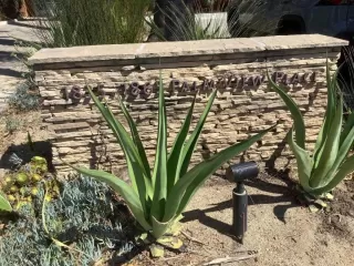 Photo #3: ML82021390 Listing