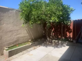 Photo #6: ML82022752 Listing 