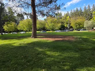 Photo #5: ML82022922 Listing 