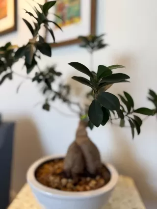 Photo #5: ML82023605 Listing 