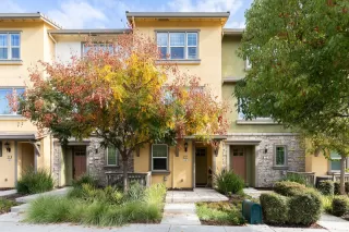 Browse active condo listings in SANDALWOOD SUNNYVALE
