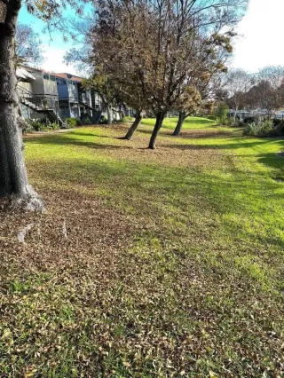 Photo #6: ML82025935 Listing 