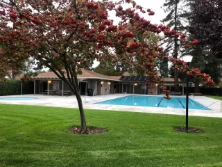 Photo #6: ML82028150 Listing